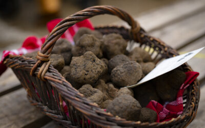 Marché aux truffes – tous les mardis!
