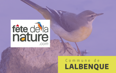 Fête de la Nature 2024