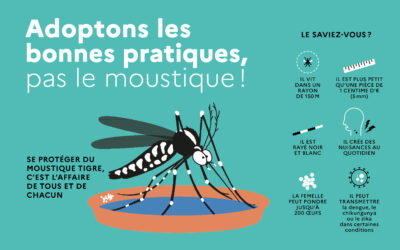 ADOPTONS LES BONNES PRATIQUES POUR LUTTER CONTRE LES MOUSTIQUES